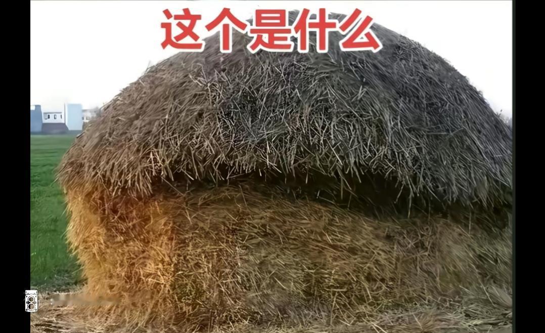草堆高耸入云，似山似丘。见过这个的都40以上了吧？用方言怎么叫？山东河南河北应该