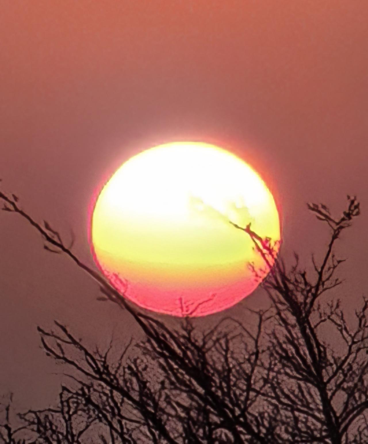 分享一下你随手拍下的照片