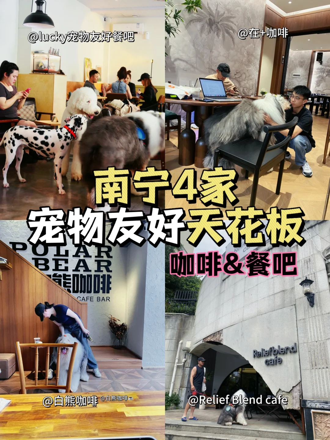 南宁青秀｜4家能带狗宅小半天的咖啡店&餐吧
