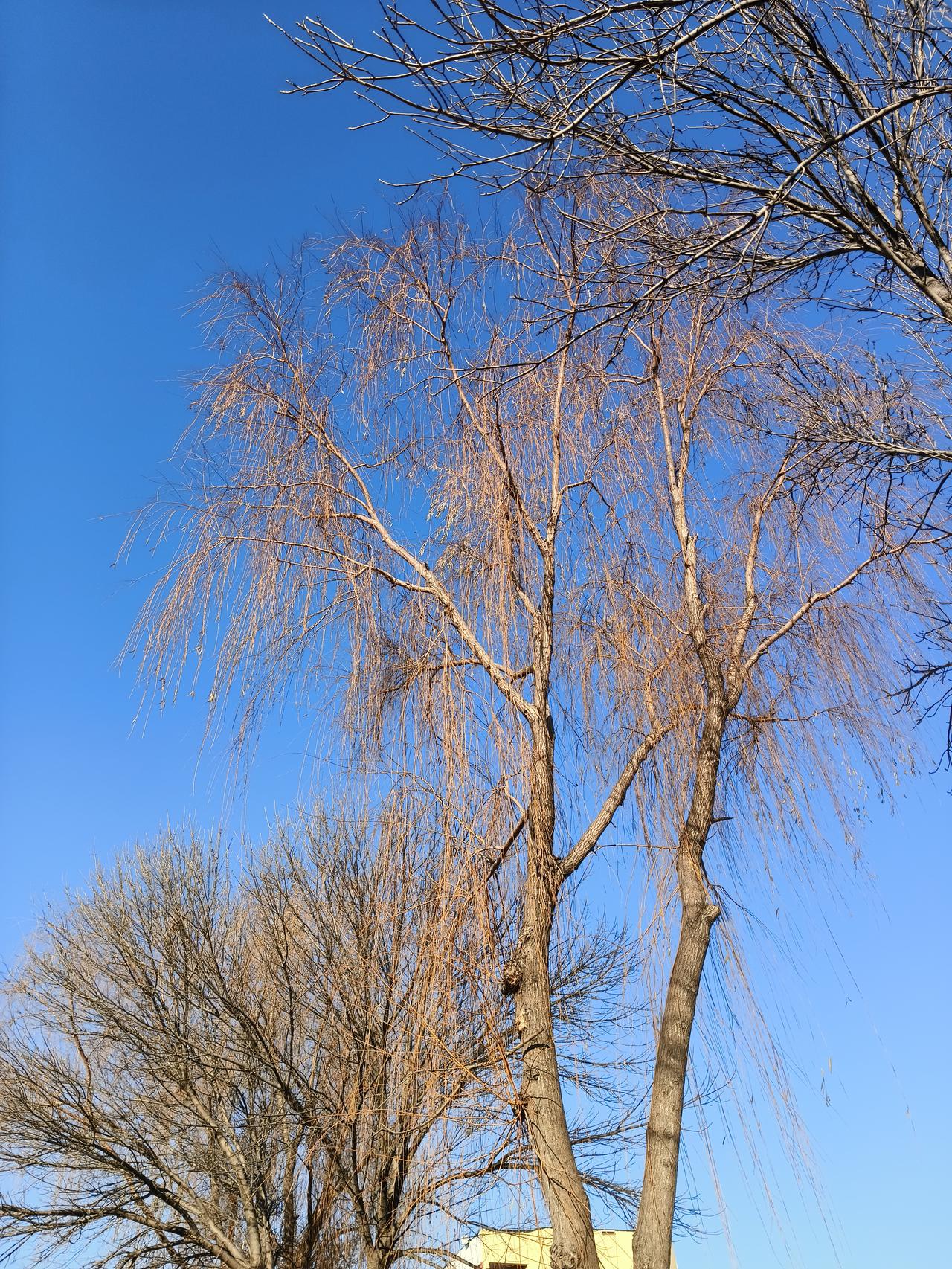 一切都是最好的安排

在时光长河中徘徊，

命运似神秘莫测的海。

有时风平浪静