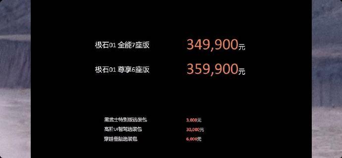 极石 01 正式上市，7 座版售价 34.99 万元、6 座版（带航空座椅）售价