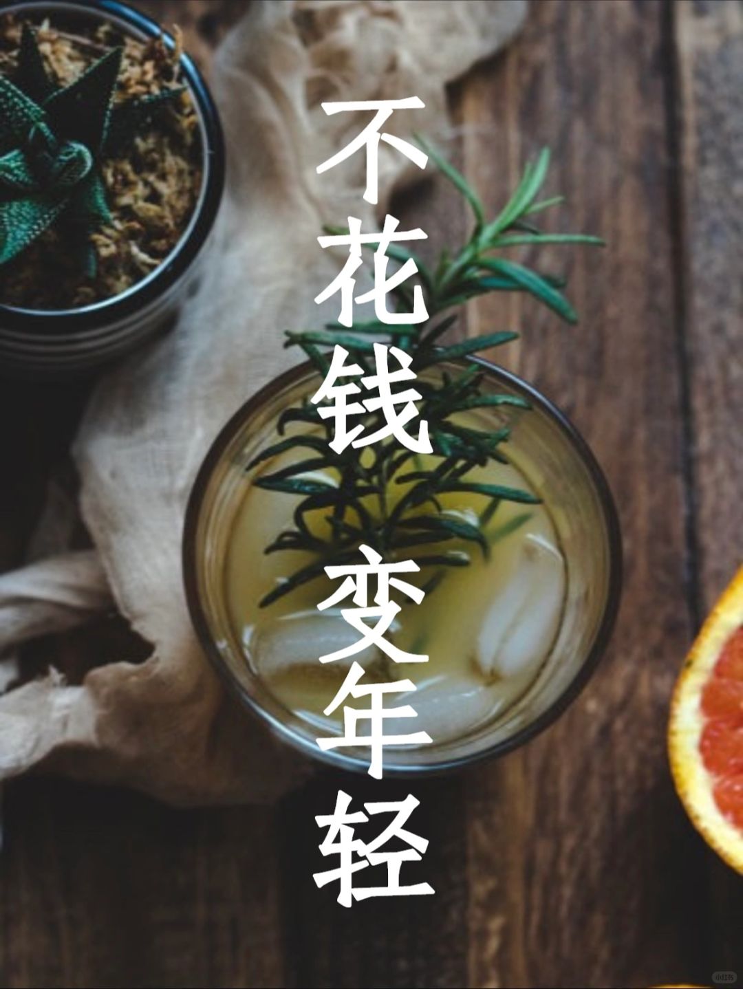 肝脏排毒第556天｜如何低成本变年轻？