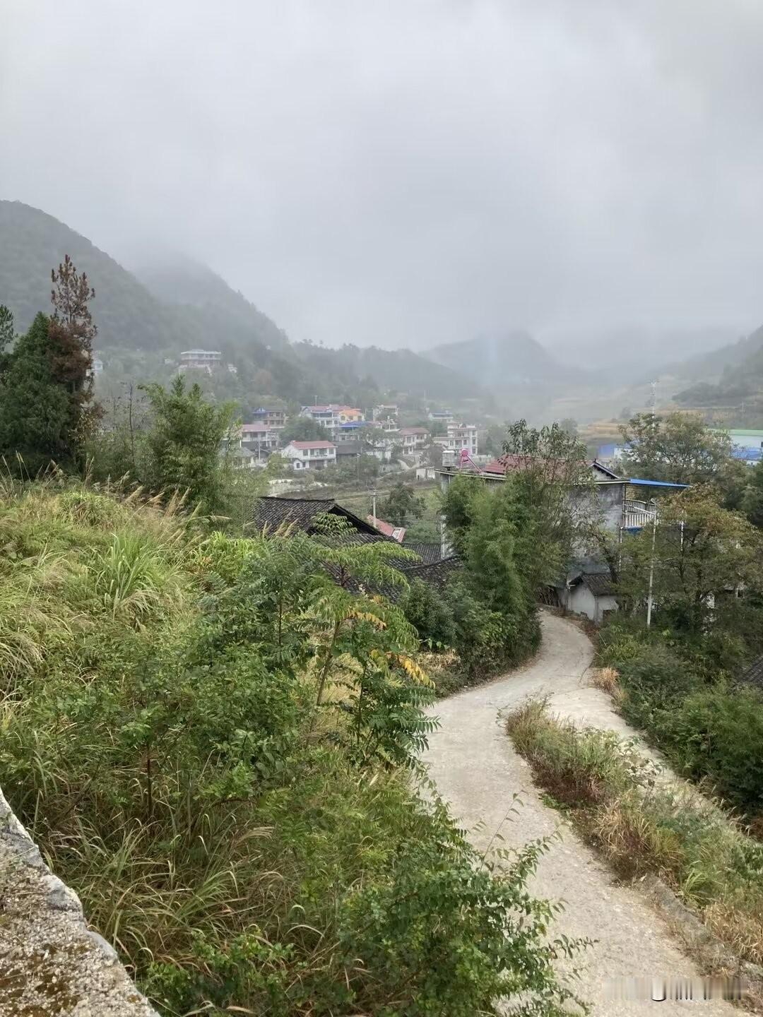 高额彩礼早已成为当下农村最现实、最扎心的生活痛点。多少普通农村家庭辛苦打拼多年，