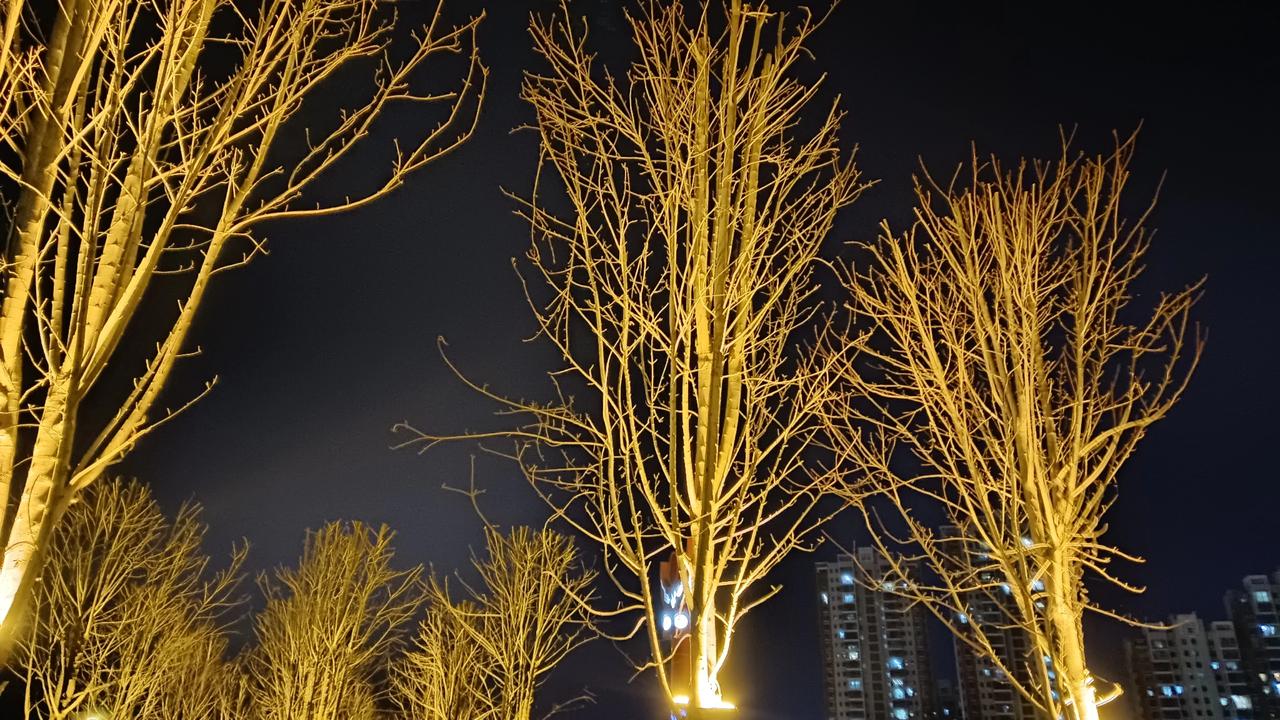 刘邦坐上龙椅后，为何韩信一定要挂呢？

韩信是西汉初的功臣，他的死让人感到惋惜！