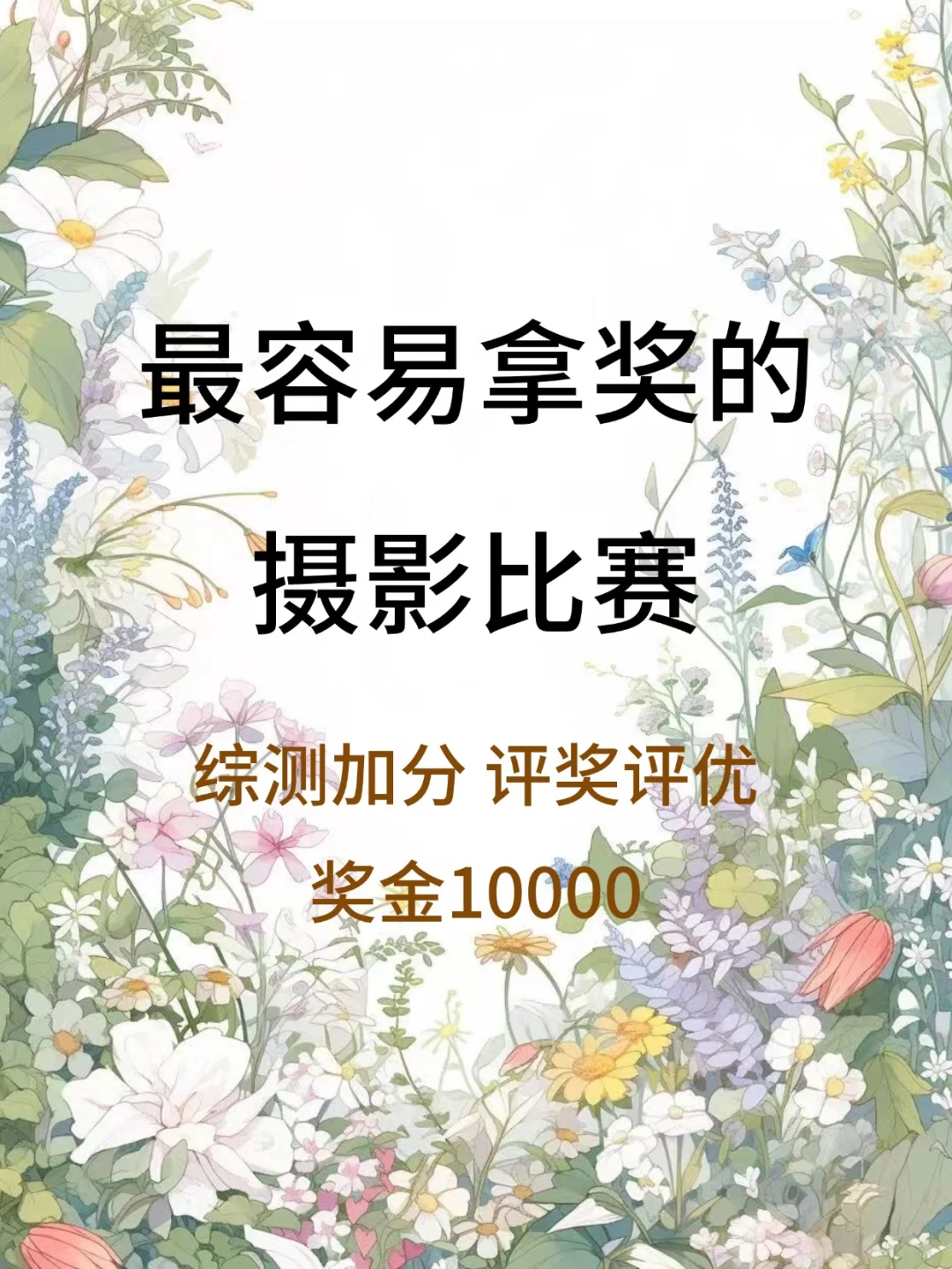 奖金10000💰！最容易拿奖的摄影大赛