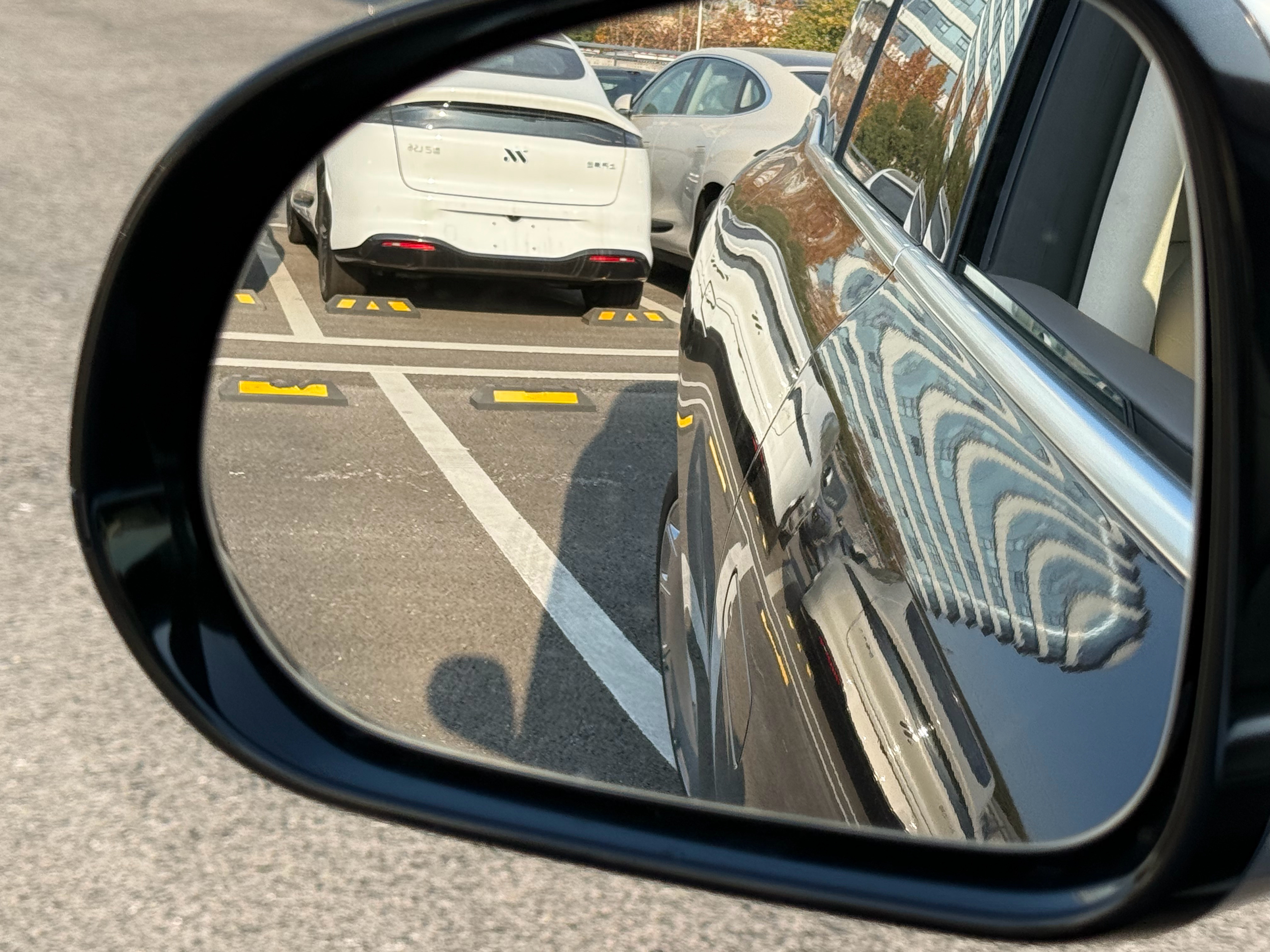 这个双向24度的后轮转向太夸张了第一次开非常反直觉倒车入库的时候甚至会因为太灵活