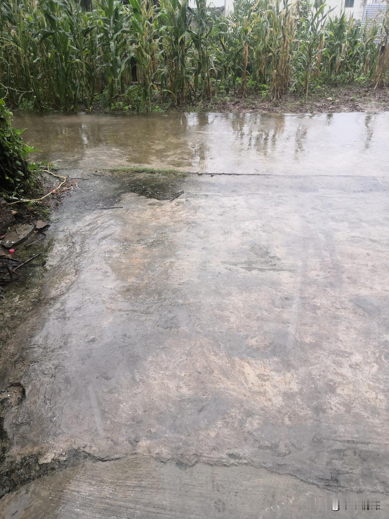 德阳市天气预报，中江县西南部当地这时候的雨下的很大的，轰隆隆的雷声把自己惊醒过来