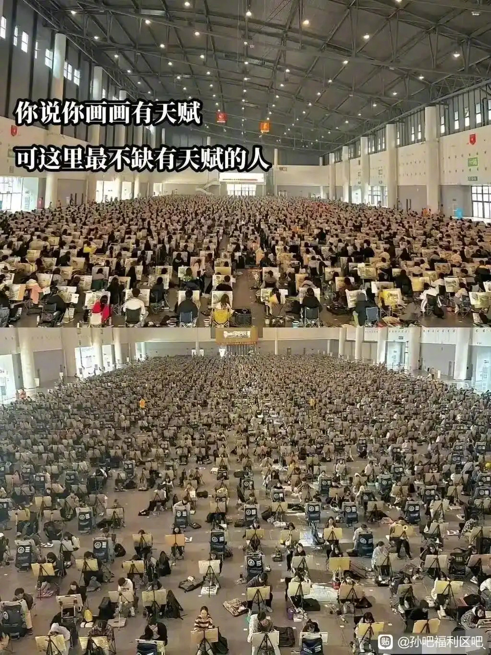 这些人最后的就业方向是什么 ​​​