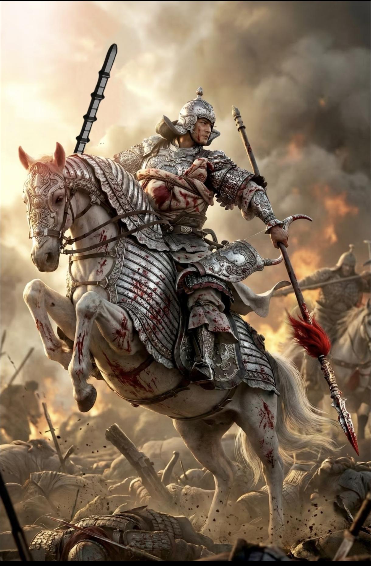 杨再兴冲阵的时候，金军还没反应过来。

他胯下那匹黑马是三天前从金兵手里抢的，跑