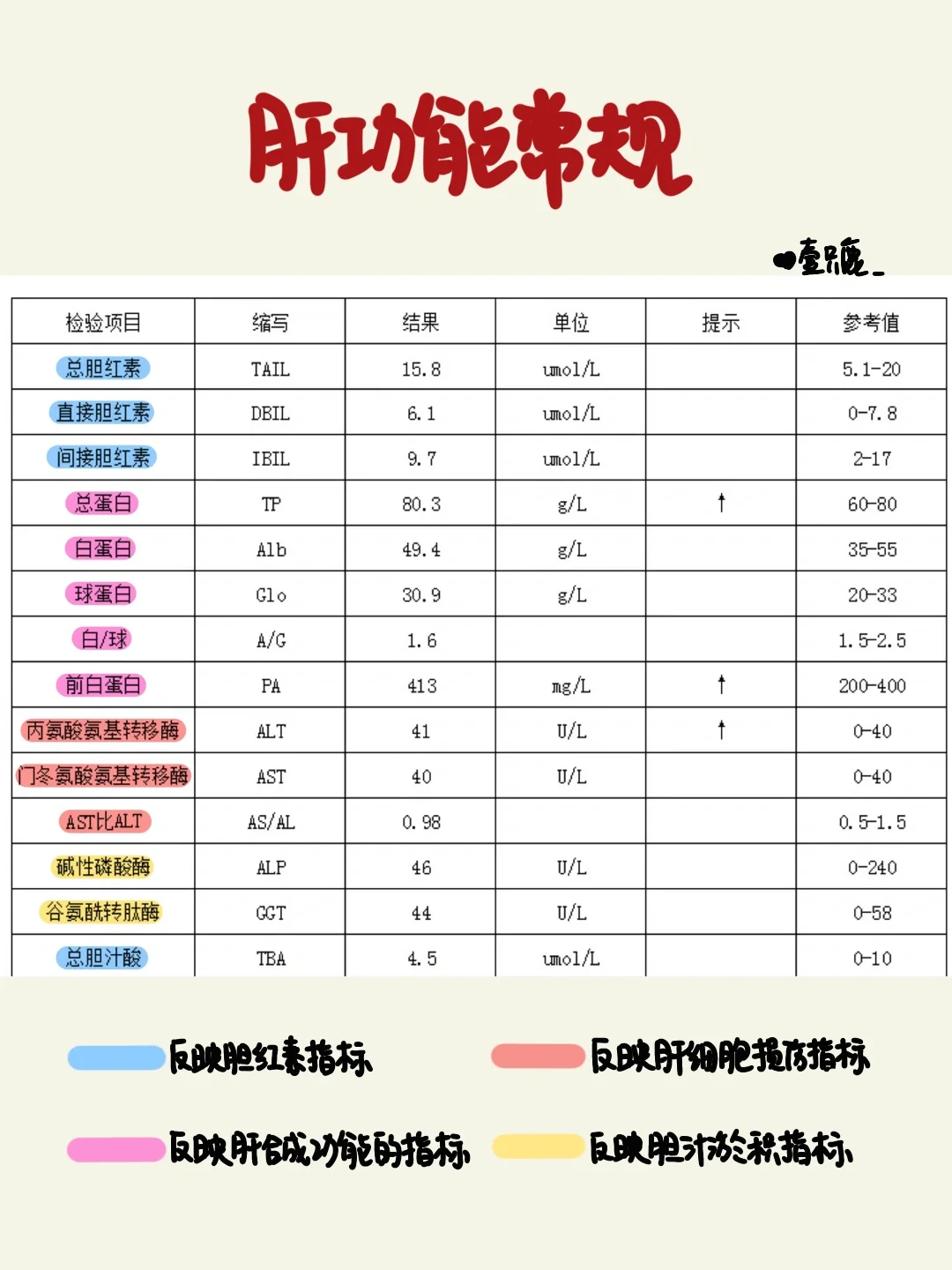 医学生笔记📒｜肝功能解读👩‍⚕️