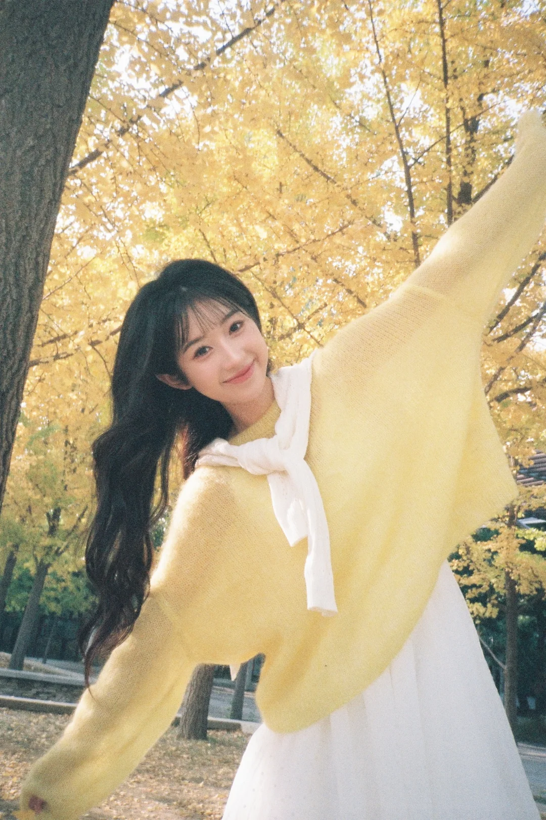 胶片📸存一些生活感秋日银杏拍照姿势