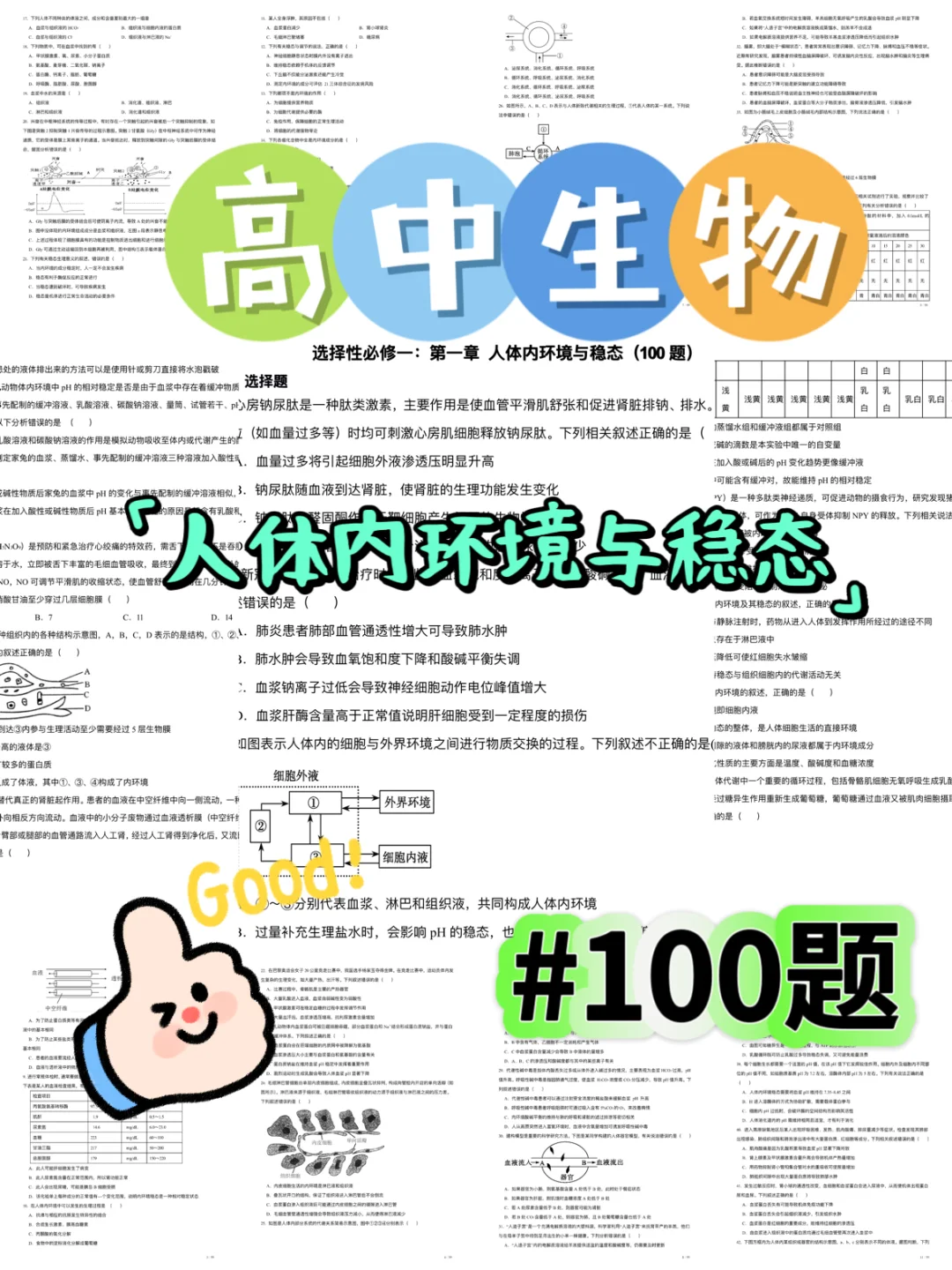 高中生物 | 选择性必修1人体内环境与稳态