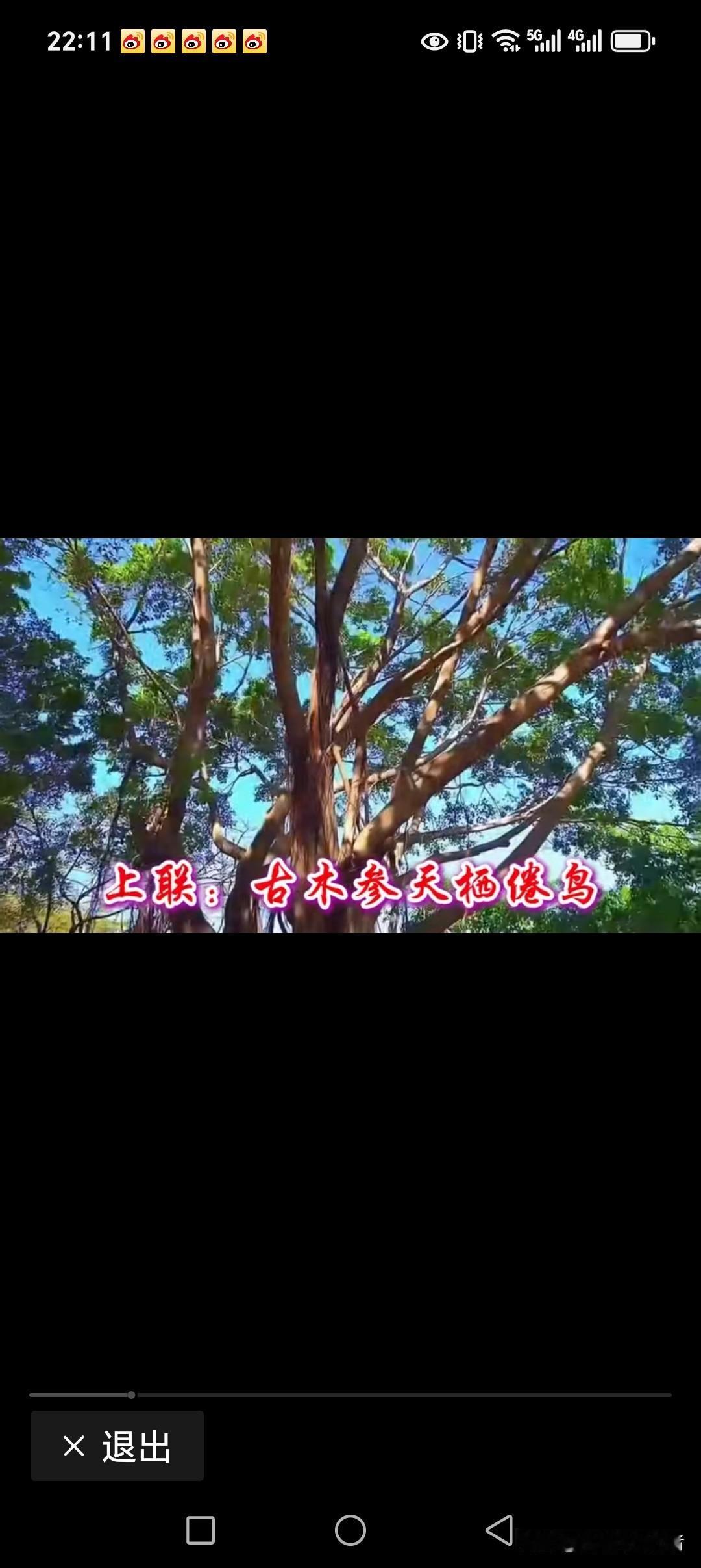 古木参天栖倦鸟
新人报道请担待