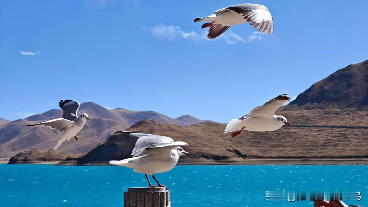 当你自身没有价值时，
一句“新年快乐”都是对别人的打扰。
别用人情淡漠来掩饰社会