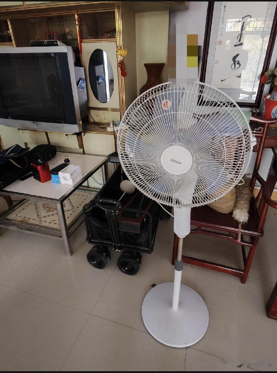 今年不知道怎么了，待在天水农村老家里避暑，房子里还是有点热。
       我老