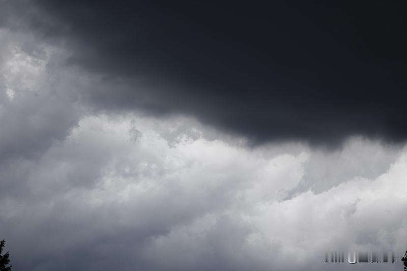 一大片乌云飘过来
雨点就落下来了
太快了
我正打算出门
家人劝阻
抬头往东边一看