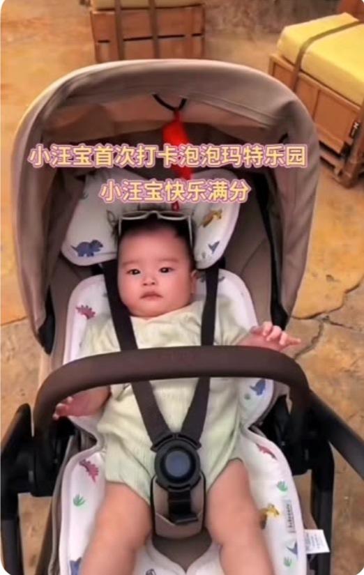 马筱梅更新了小汪宝的最新动态，她带着儿子游玩泡泡玛特了，还大大方方的露出儿子的正