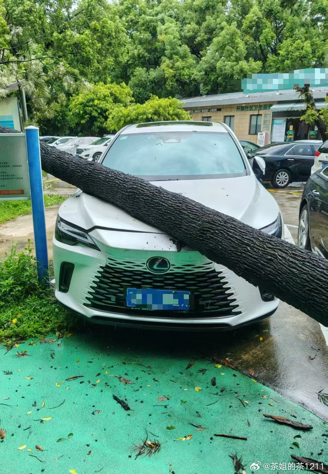 台风的威慑力这还不是海边呢。。。住海边的估计损失惨重。 