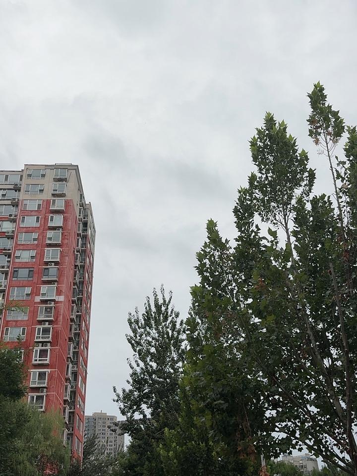 果然是一场秋雨一场凉，昨天下了一场大雨，今早晨锻炼，半袖露出来的胳膊竟然凉飕飕的
