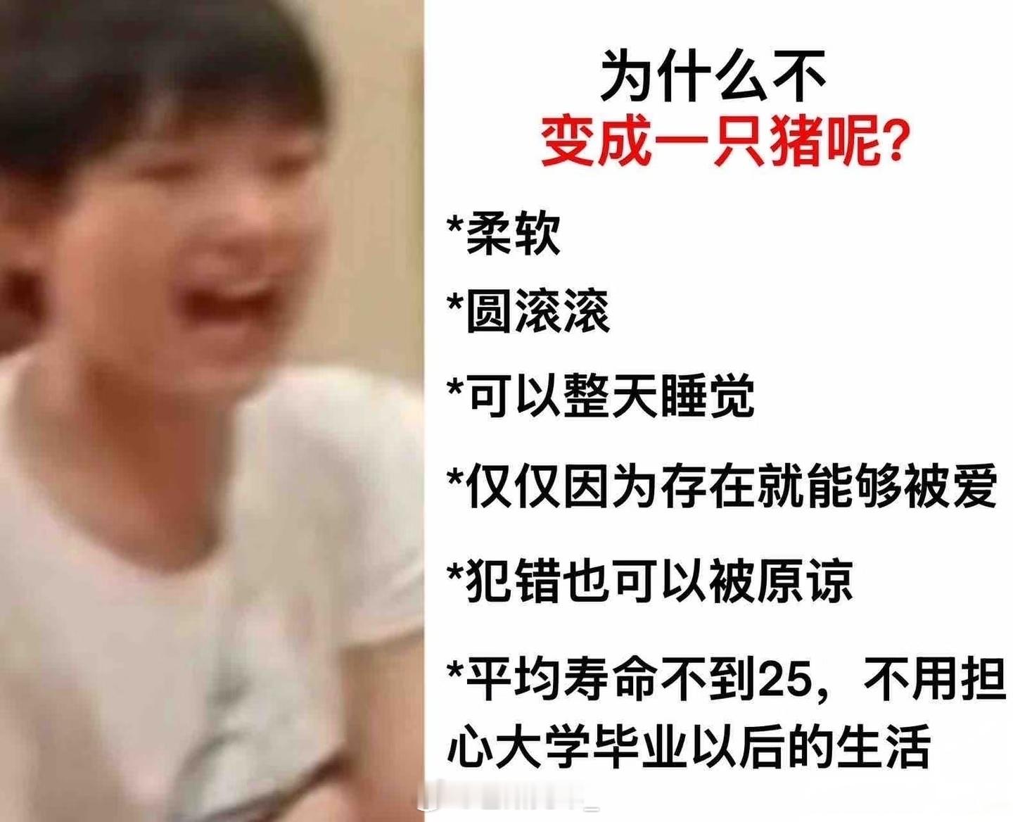 分享图片 