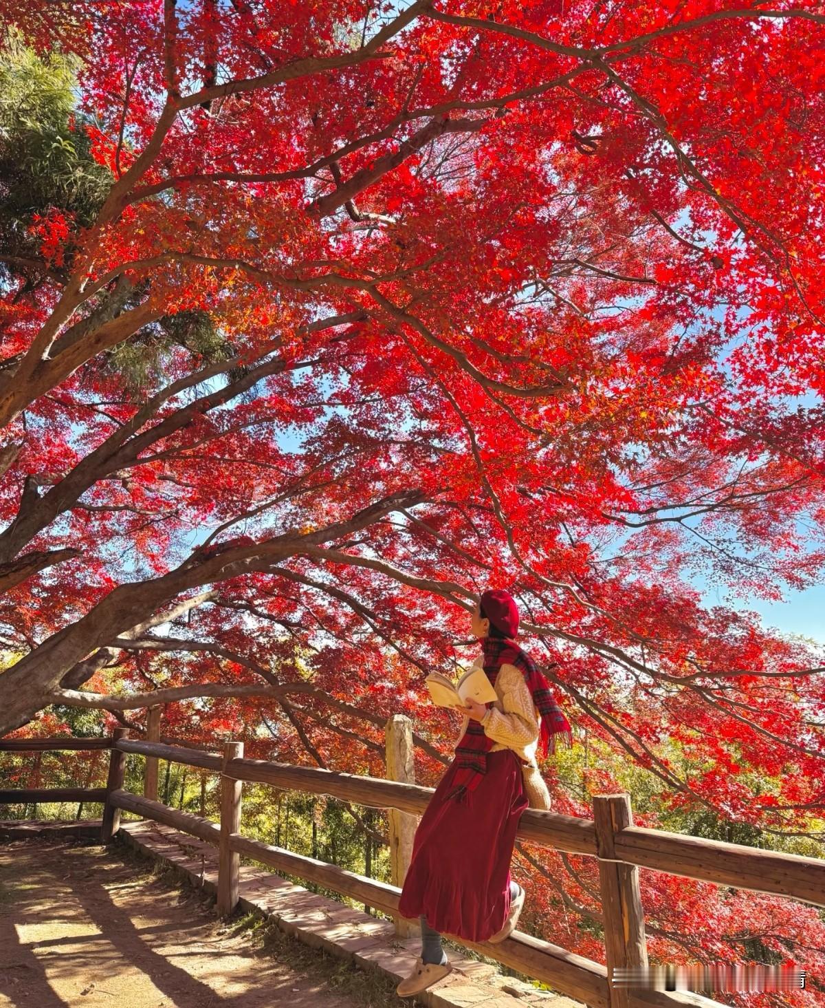 其实哪有啥完美人生啊，别跟自己较那劲！
 
每天早上能笑着醒，晚上能踏实睡，就赢