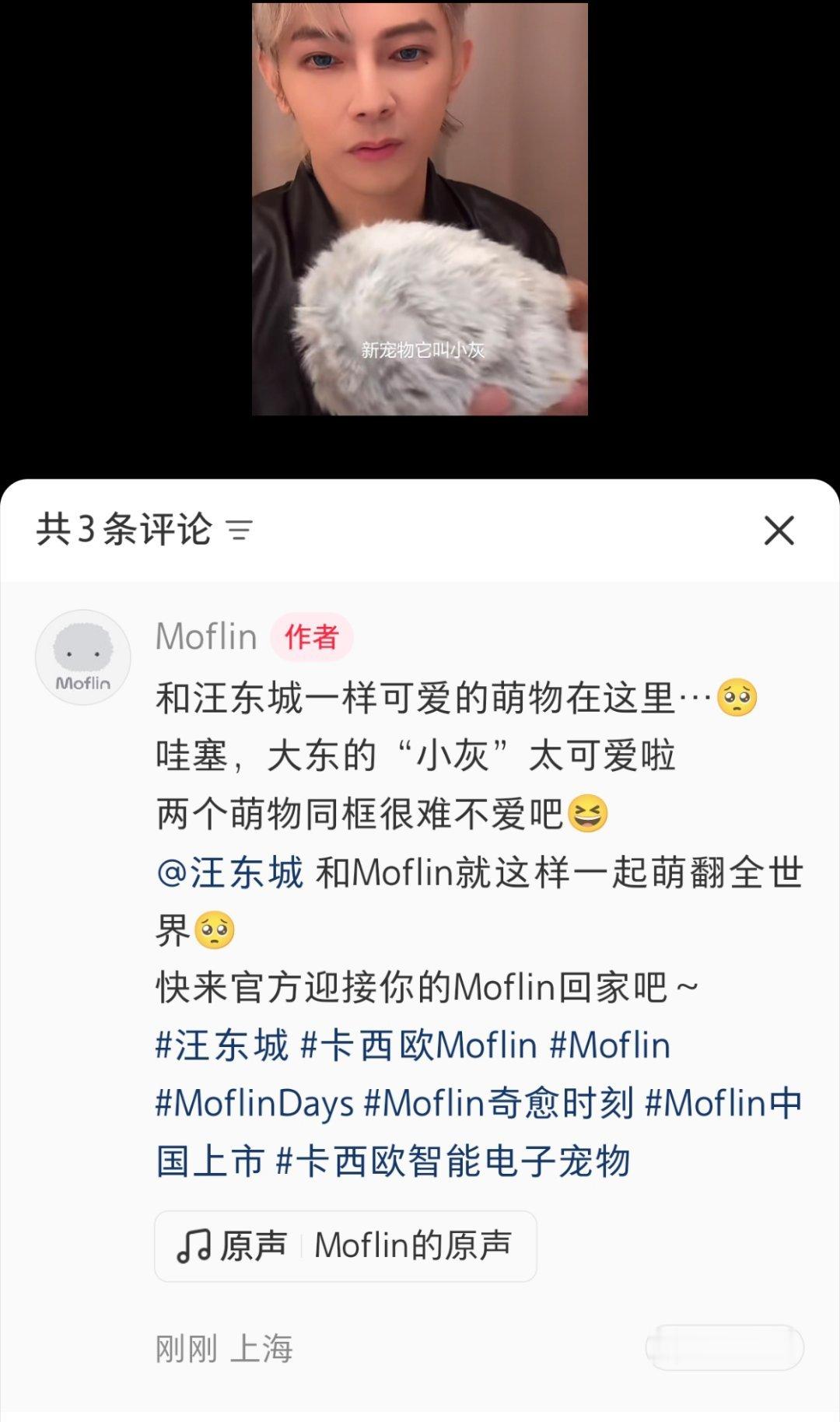 感谢卡西欧Moflin官方赠送啊，汪东城和小灰灰两只萌物超级配 