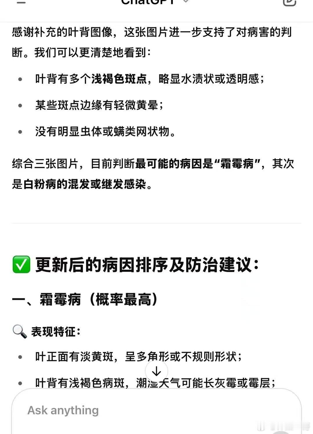 黄叶是Projection,病叶Temporal ,而回到原本的叶，Eterna