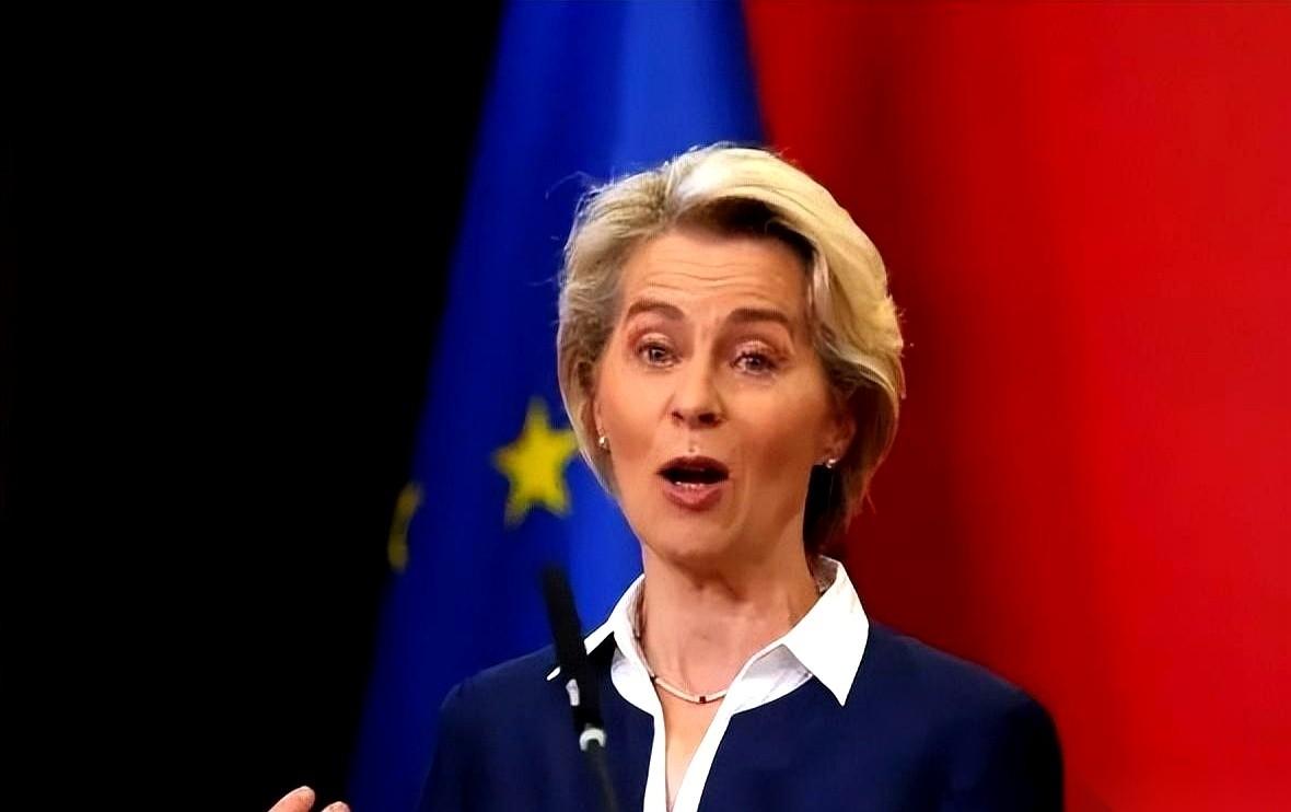 你大哥说，看上你家那块地了，不给就动手。
你吓得赶紧去找家里那帮兄弟，结果呢？