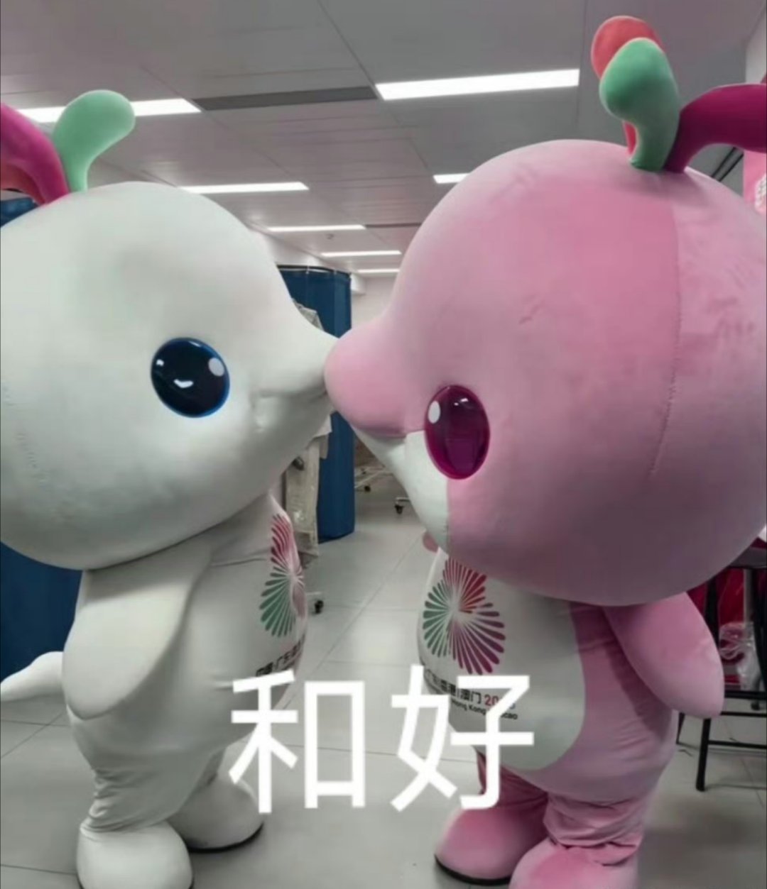 下面向我们走来的是： 