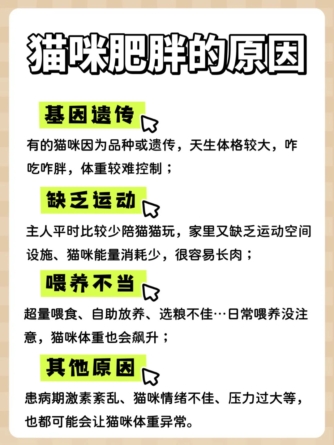 猫咪减肥看过来！猫咪科学减重全攻略