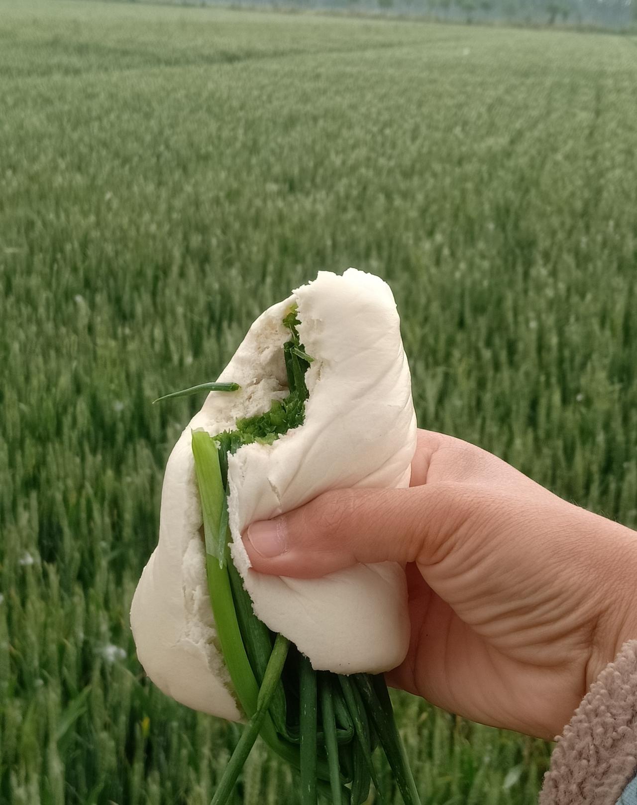 你问我今天吃啥？我直接告诉你，今天吃的就是山东呛面馒头，卷一把小葱，吃的那叫一个