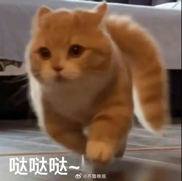 先努力让自己发光，对的人才能迎着光而来。#晚安# ​​​