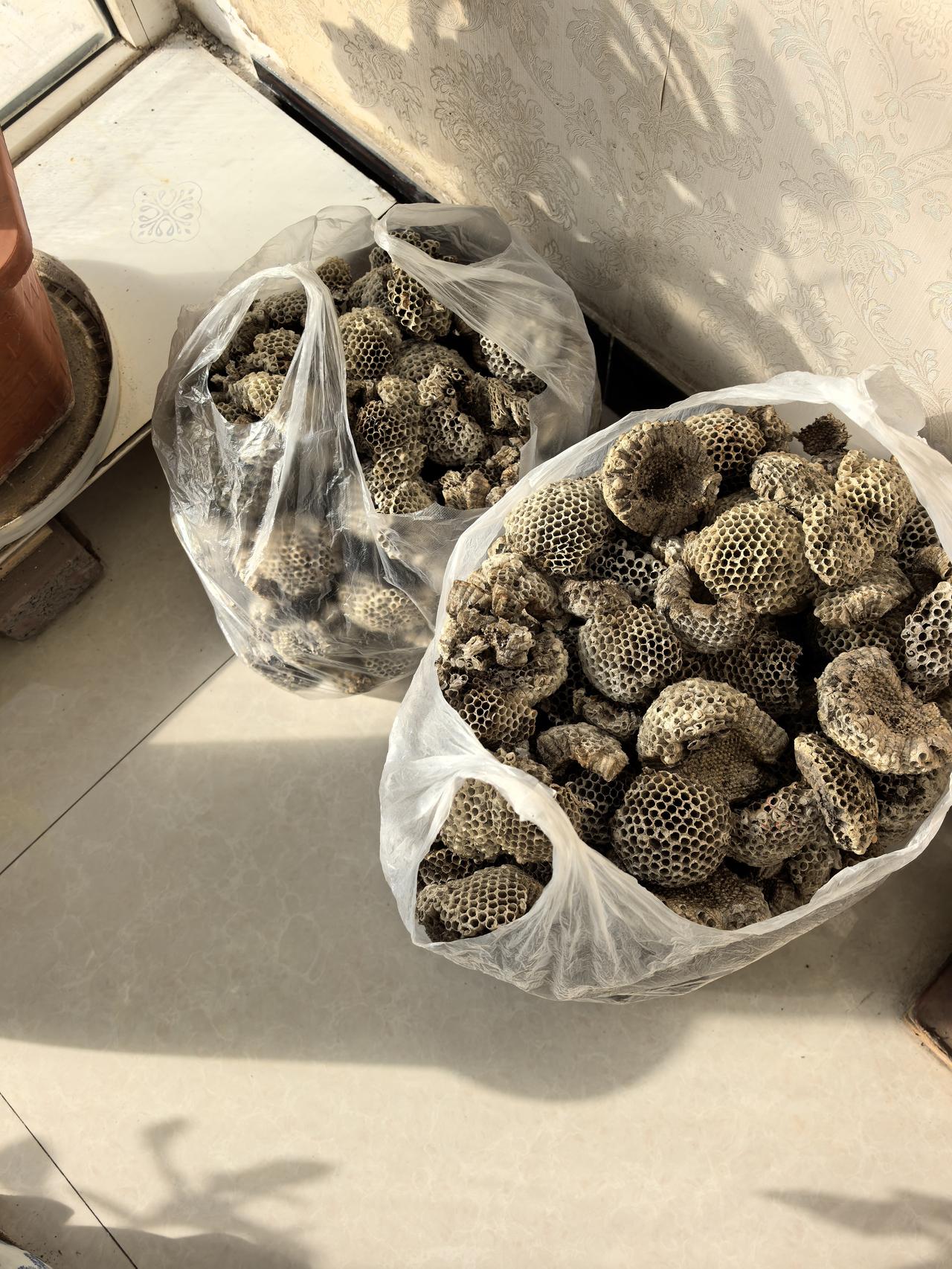 这些都是最近一个月闲暇时间捅下的马蜂窝。这算是为城市居民做好事吗？除了袋子里装的