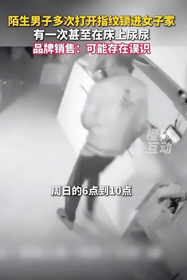陌生男子多次通过指纹识别打开智能锁，在家中肆意破坏。
焦女士于10月19日上午查