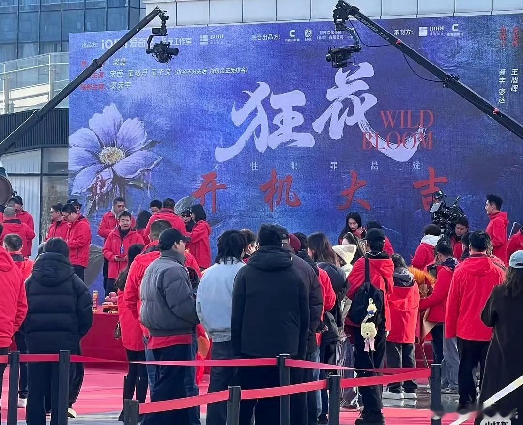 还合理点儿不然王子文宋茜起码有叫得出名字的女主剧资源，给几年不一定有叫得出名字的