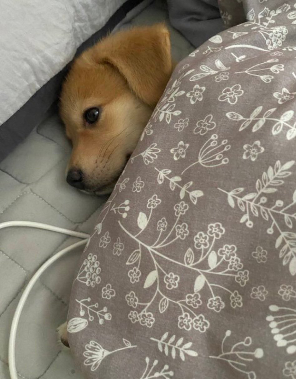 冬天想一直这样 