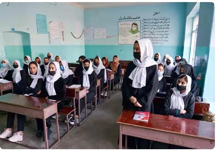 看到阿富汗妇女被禁止上学的现状，我的后背一阵阵的发凉。
      今日看到新闻