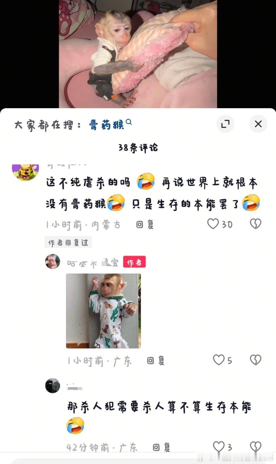 查询斗南平均智商 