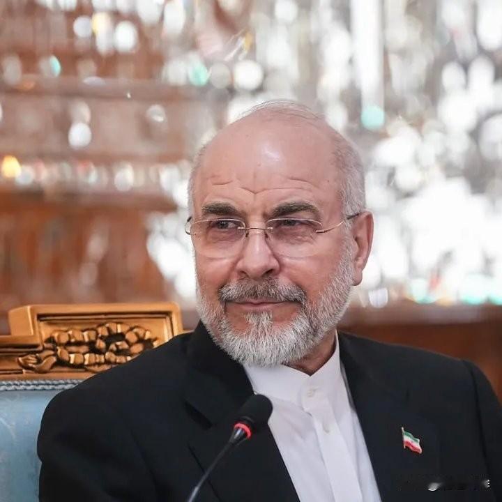 加里巴夫的私人顾问将特朗普延长停火的举动称为“为发动突然袭击争取时间的策略”，并