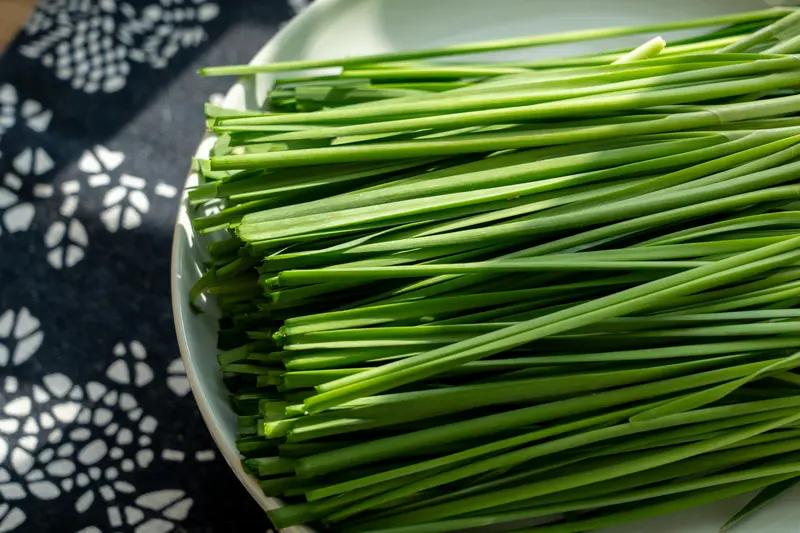 春天真是个适合吃“草”的季节，“春天吃三草，不把医生找”这话一点不假。
4月里，