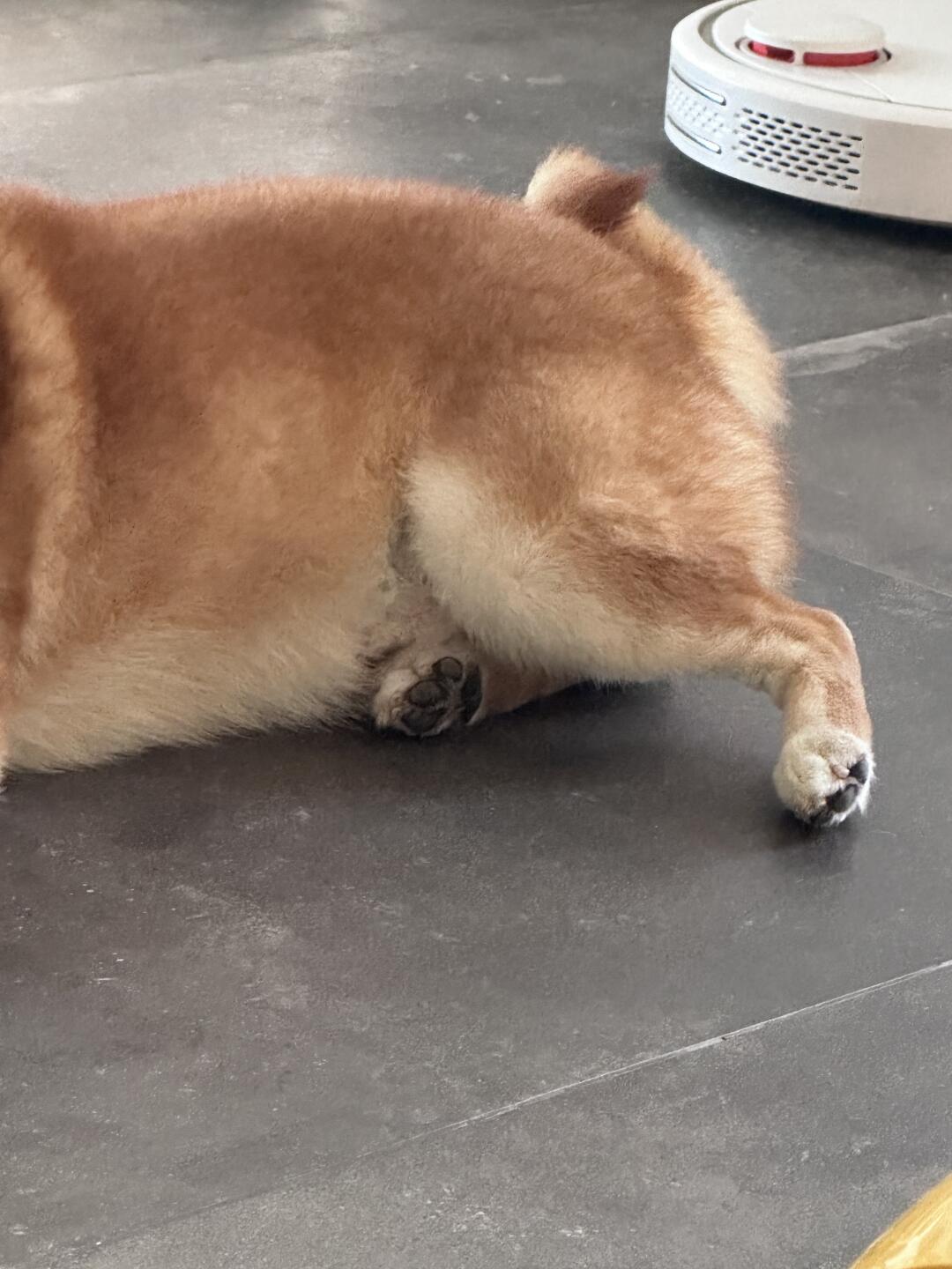 谁闻