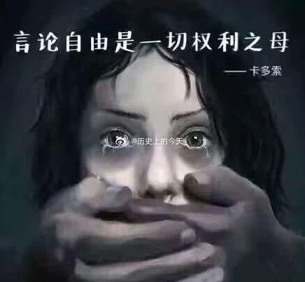 #文史箴言#言论自由是一切权利她娘！——卡多索 ​​​