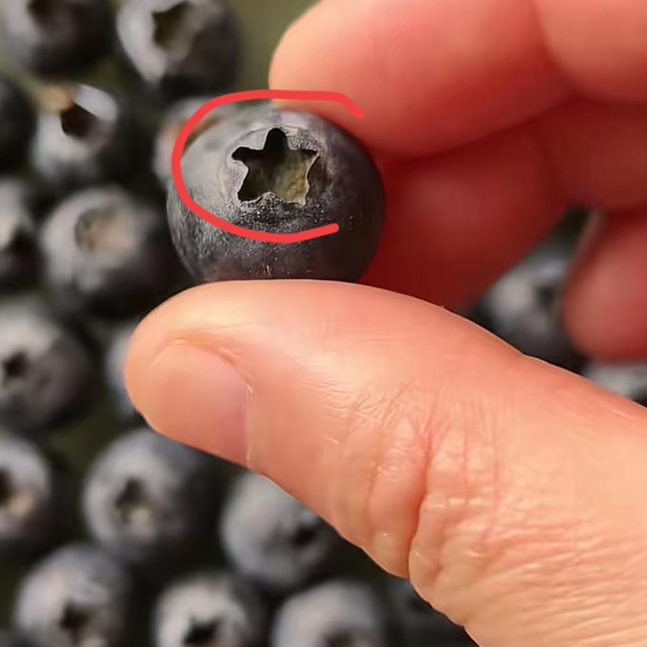 真的越想越后怕，
家里有孩子的，
买蓝莓千万千万要仔细检查！
 
       