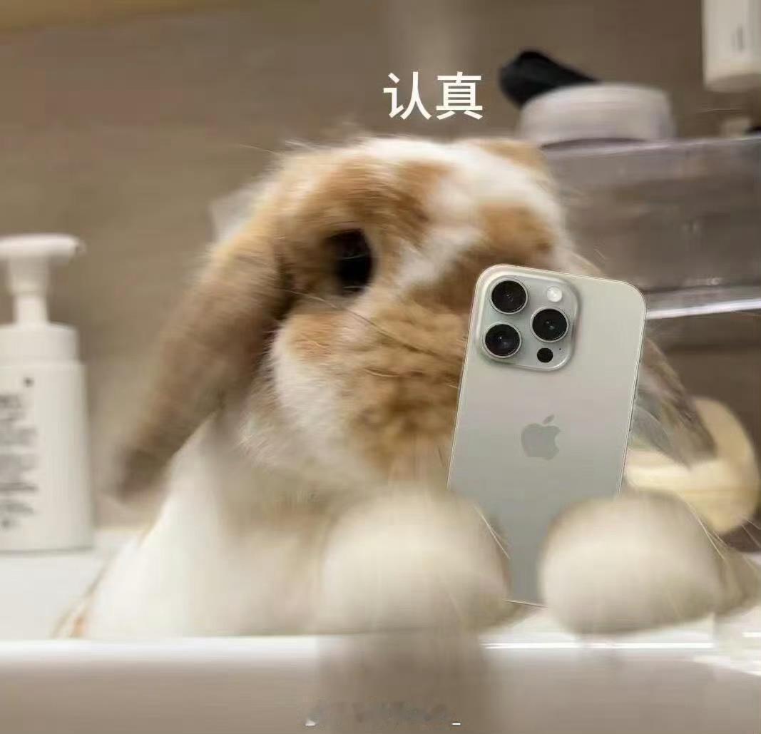 我妈咪发的表情包也太他爸的可爱了吧。。。这不就是李沛恩本恩吗啊啊啊啊啊啊 