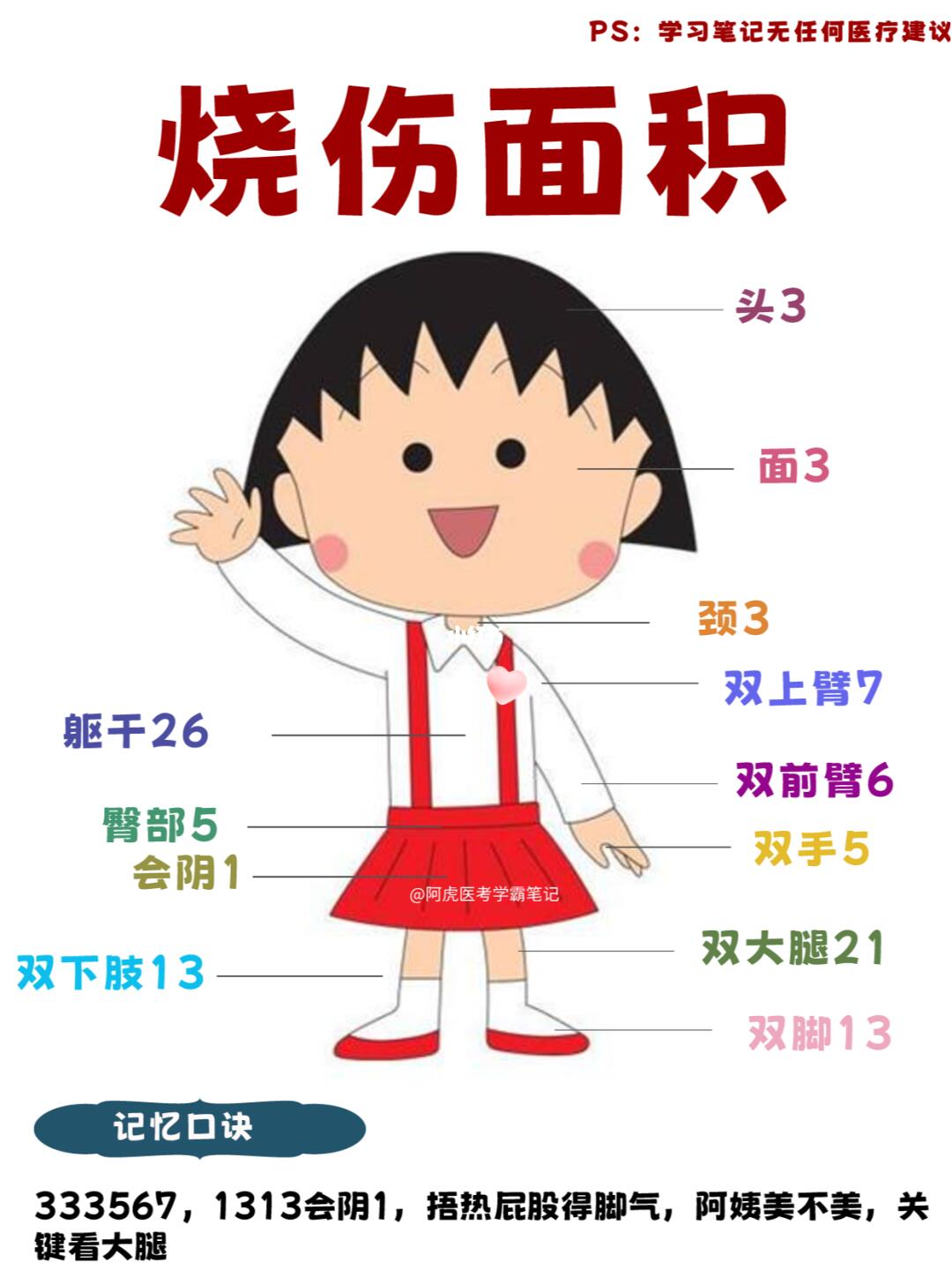 阿虎医考学霸笔记：烧伤面积