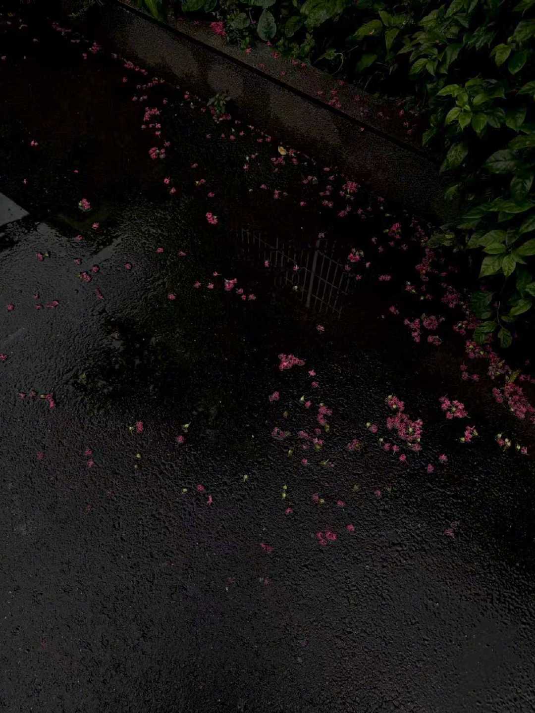 𝑻𝒓𝒚 𝒕𝒐 𝒑𝒍𝒆𝒂𝒔𝒆 🍾人生不止一个方向 多做让自