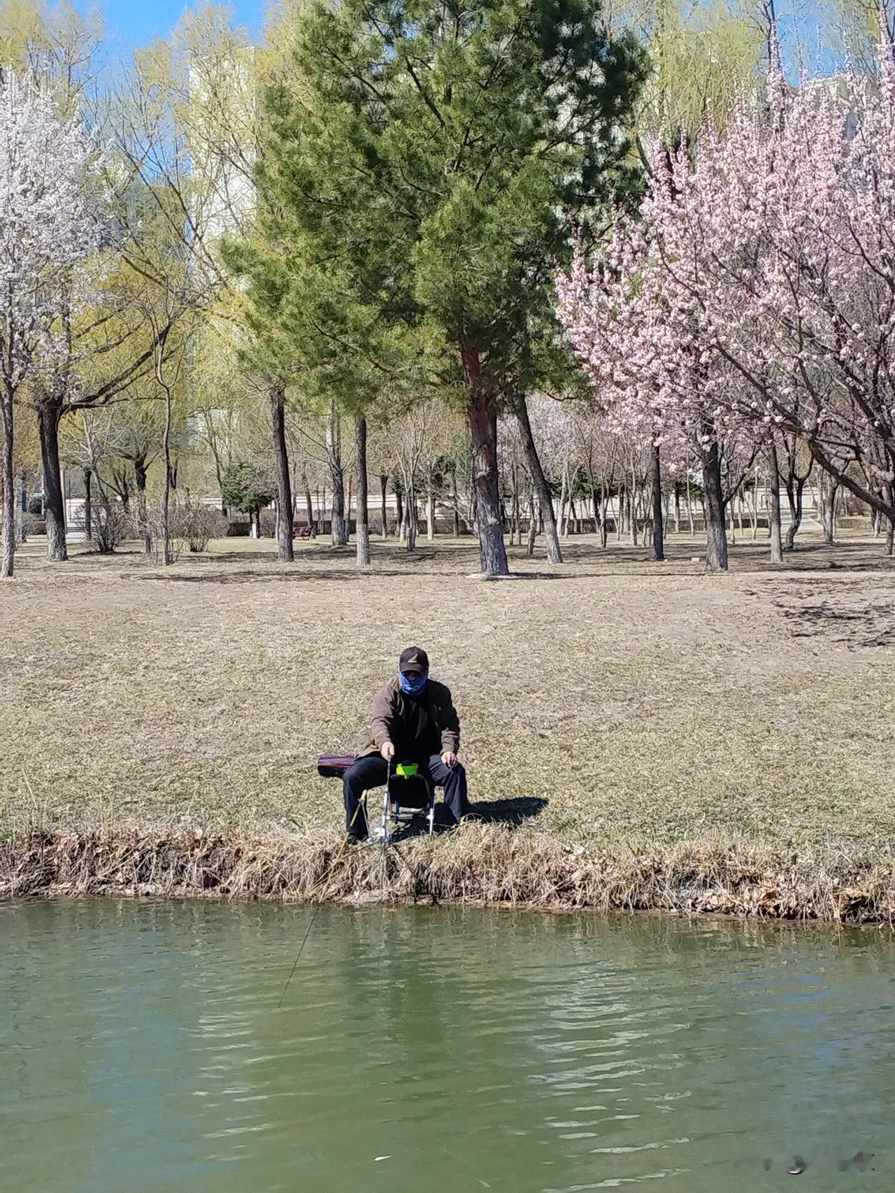 钓金河
银丝垂钓金水河，
鱼不上钩怎奈何？
耐心等待别焦躁，
请续句……
（久坐