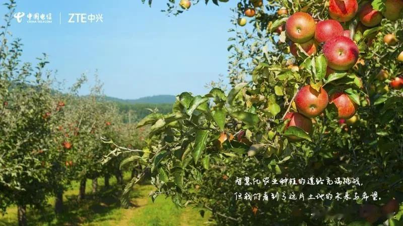 中国5G，引发乡村大变革！5G+智慧农业，助力乡村全新升级#中国5G助力美丽乡村