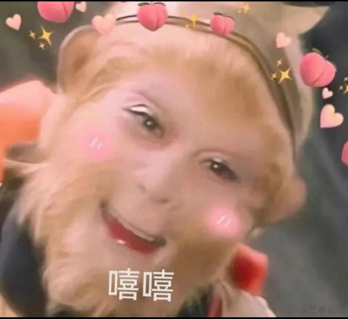 南京赢应援车精神状态遥遥领先 趣味标语搭配硬核气场，成为街头独一份的潮流风景南京