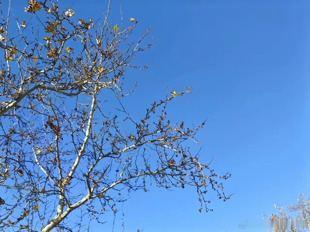 12月25日明天收中阳3451.今天这根阳线向上穿过4条均线，可谓不容易，明天高